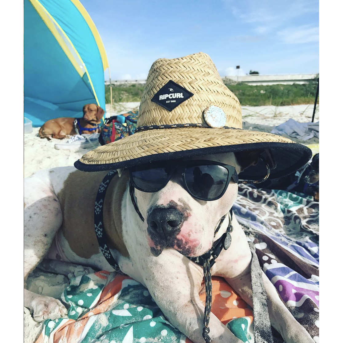 Winston