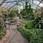 The Original Mackinac Island Butterfly House & Insect World
