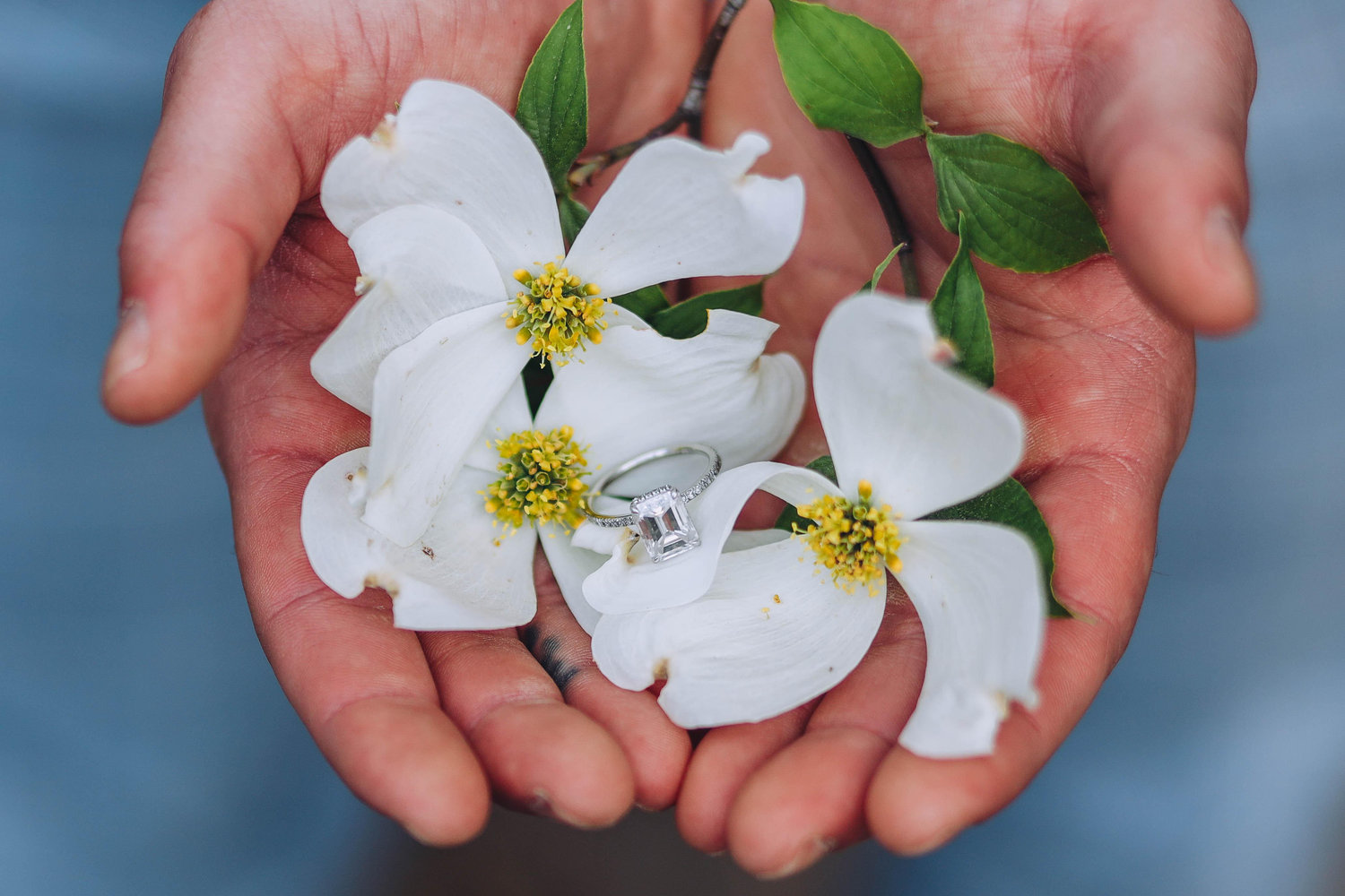 The Wedding Website of Hannah Lief and Elliot Capella