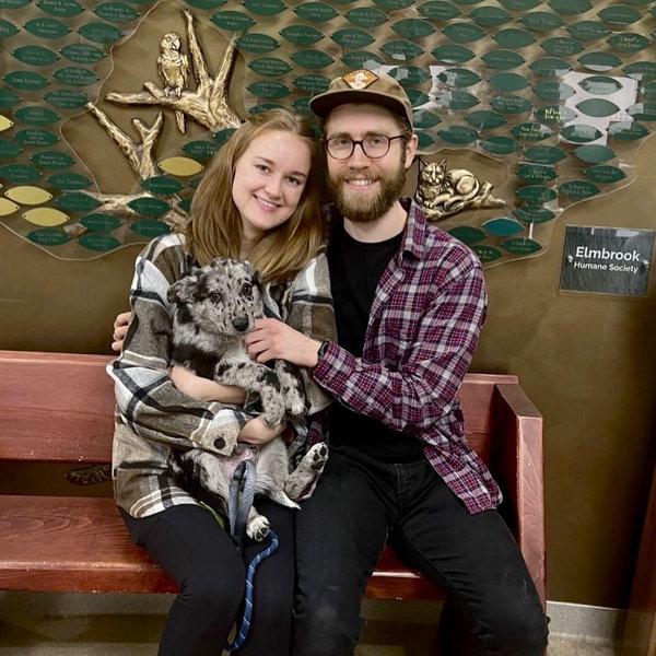 Elmbrook Humane Society Donation Fund