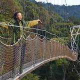 Nyungwe Forest National Park