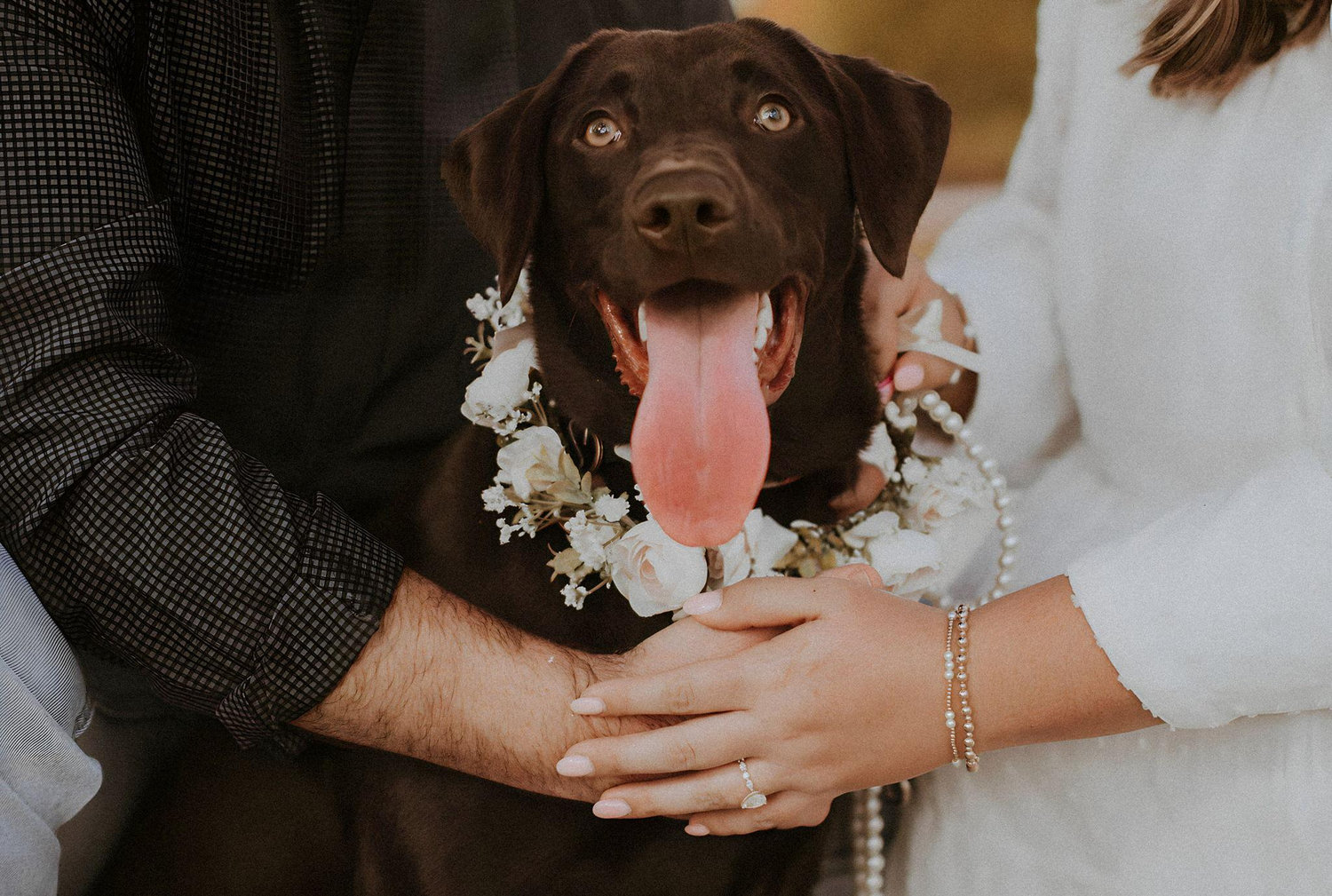 The Wedding Website of Chelsea Faulkner and Schuyler Hales