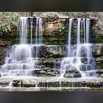Zilker Botanical Garden