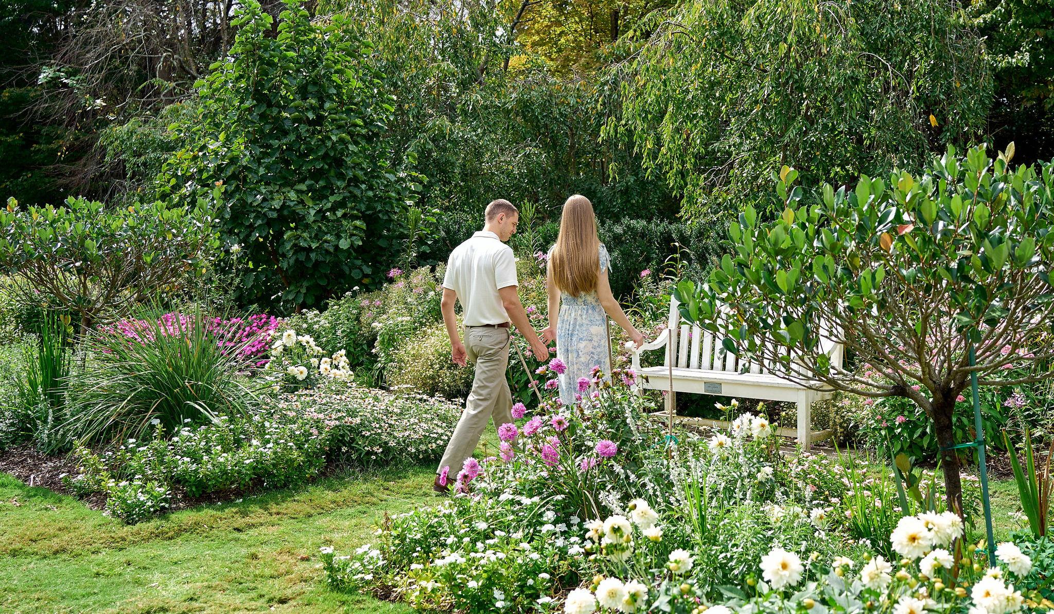 Hero Slideshow Image 0