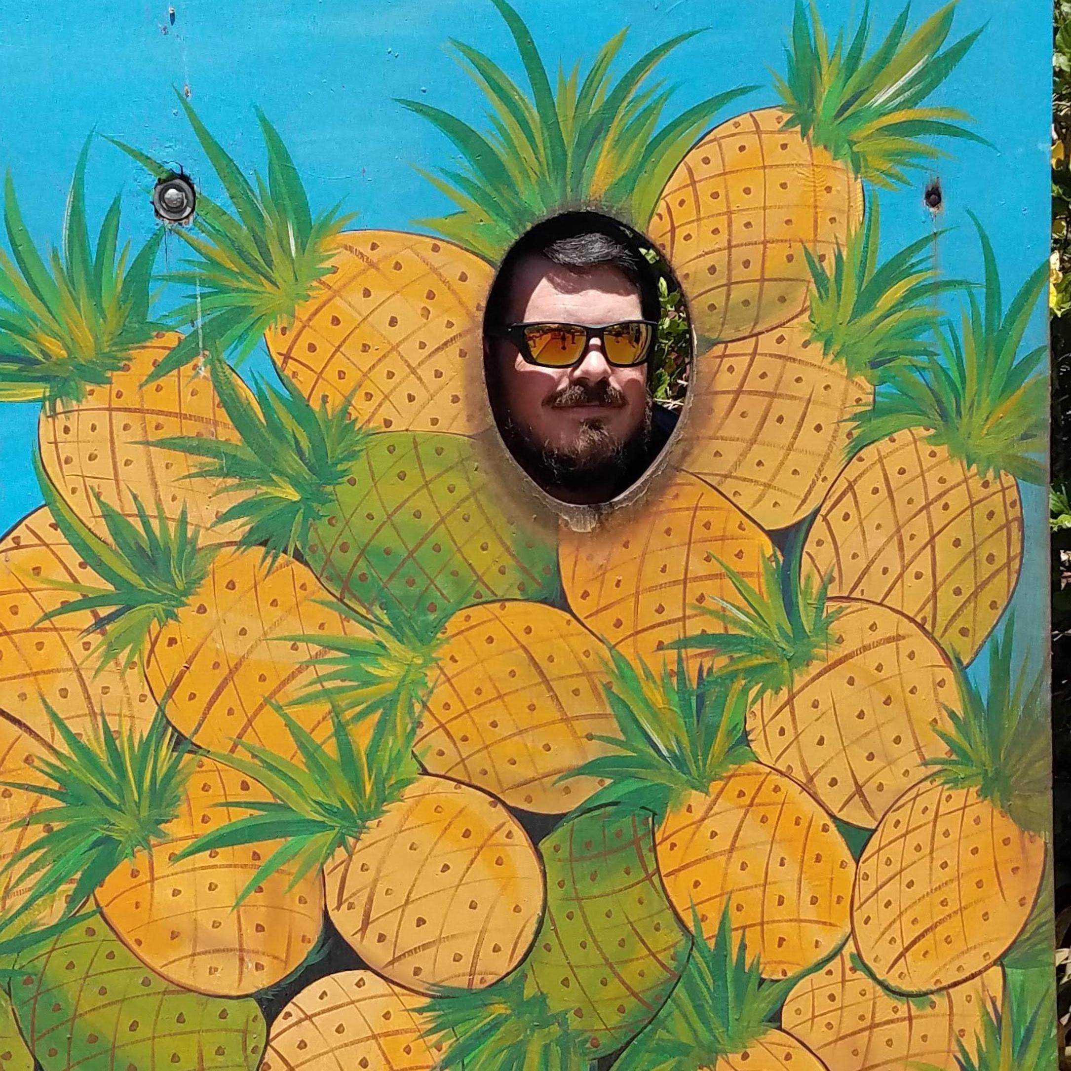 Pineapples on pineapples