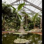 Matthaei Botanical Gardens