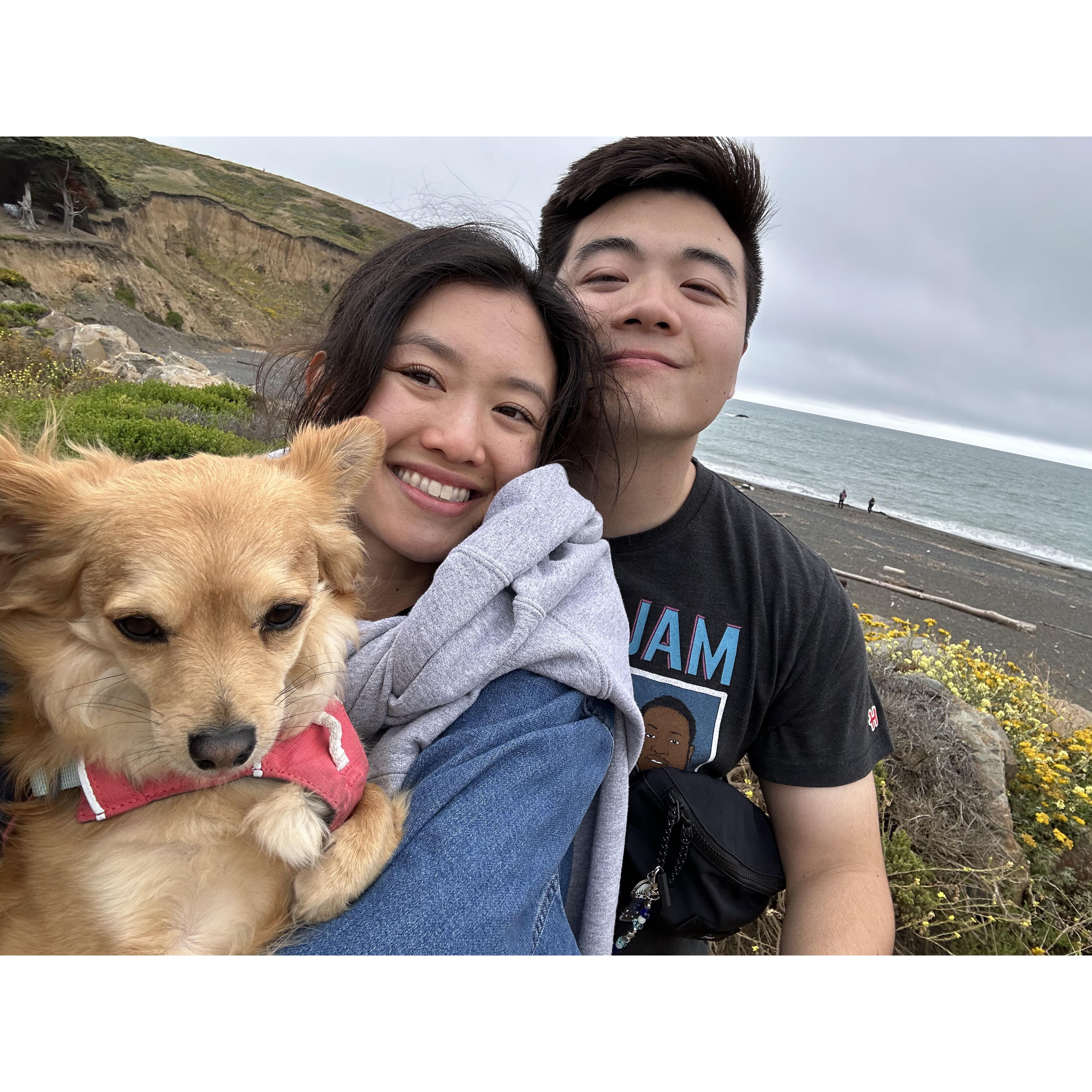 January 2022 - We adopted Cheeky, our adorable chihuahua mix. Rei never wanted a dog, but now loves Cheeky like his own daughter.