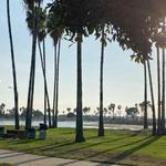 Mission Bay
