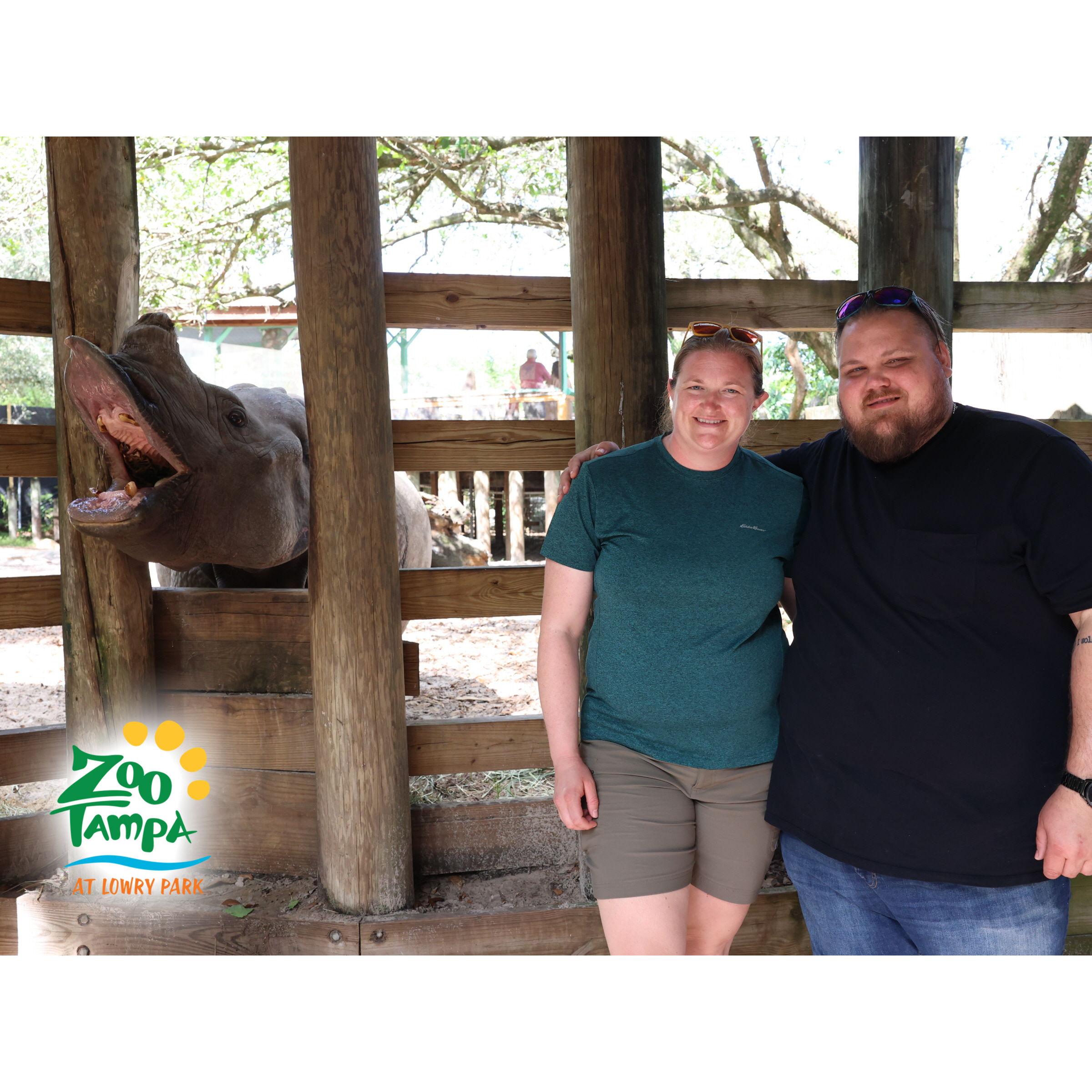 Our friend Jamie the Indian rhino