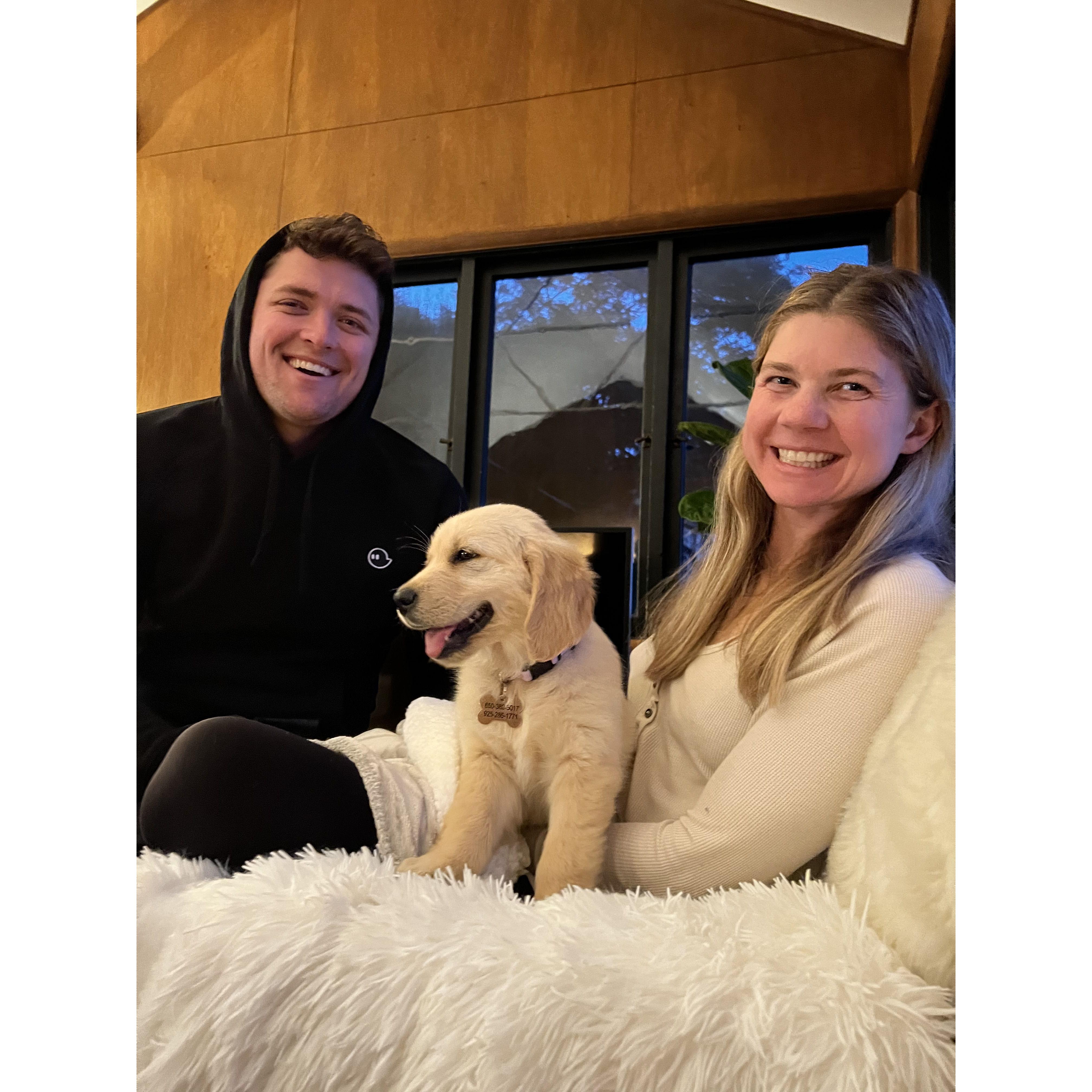 Our first day with Winnie, our beloved golden retriever