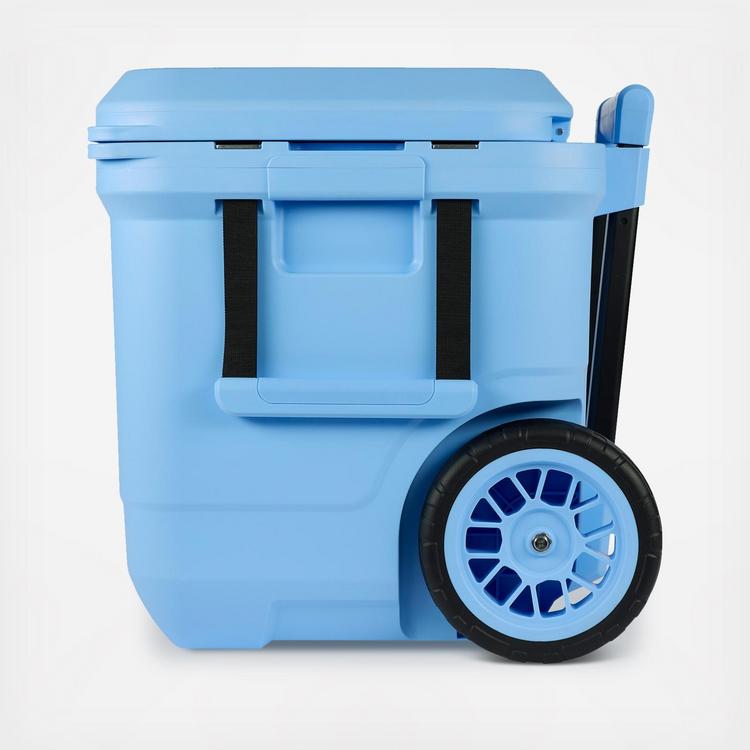 Coleman, Pro 55-Quart Hard Cooler | Zola