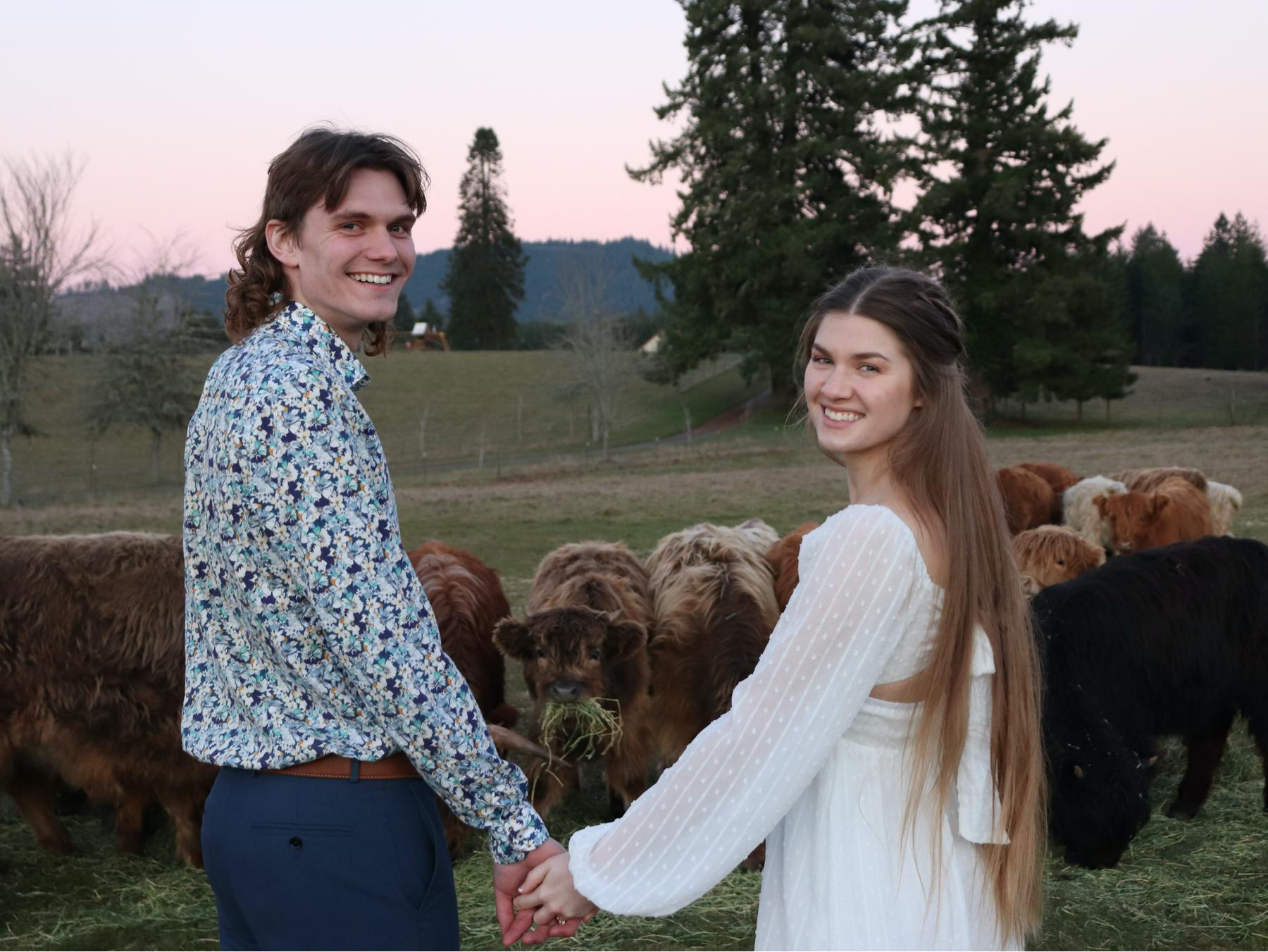 7df682d3-1afe-4435-bf56-43e3b6198118