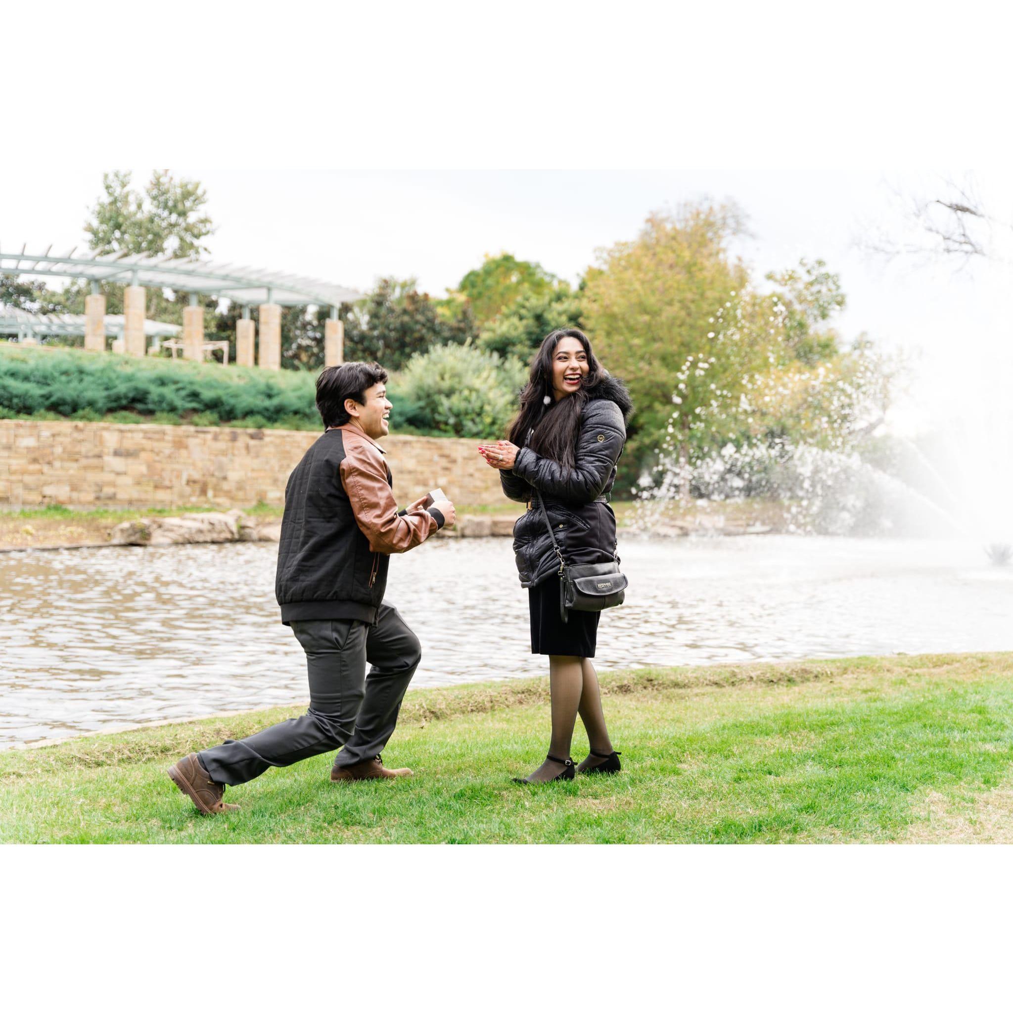 Proposal - November 19,2022 (Botanical Gardens)