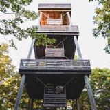 Parnell Tower