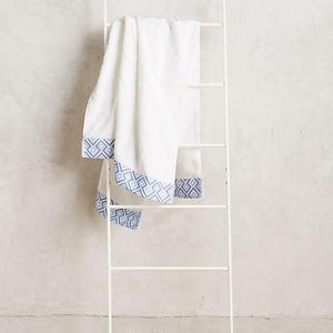 Antorse Ladder