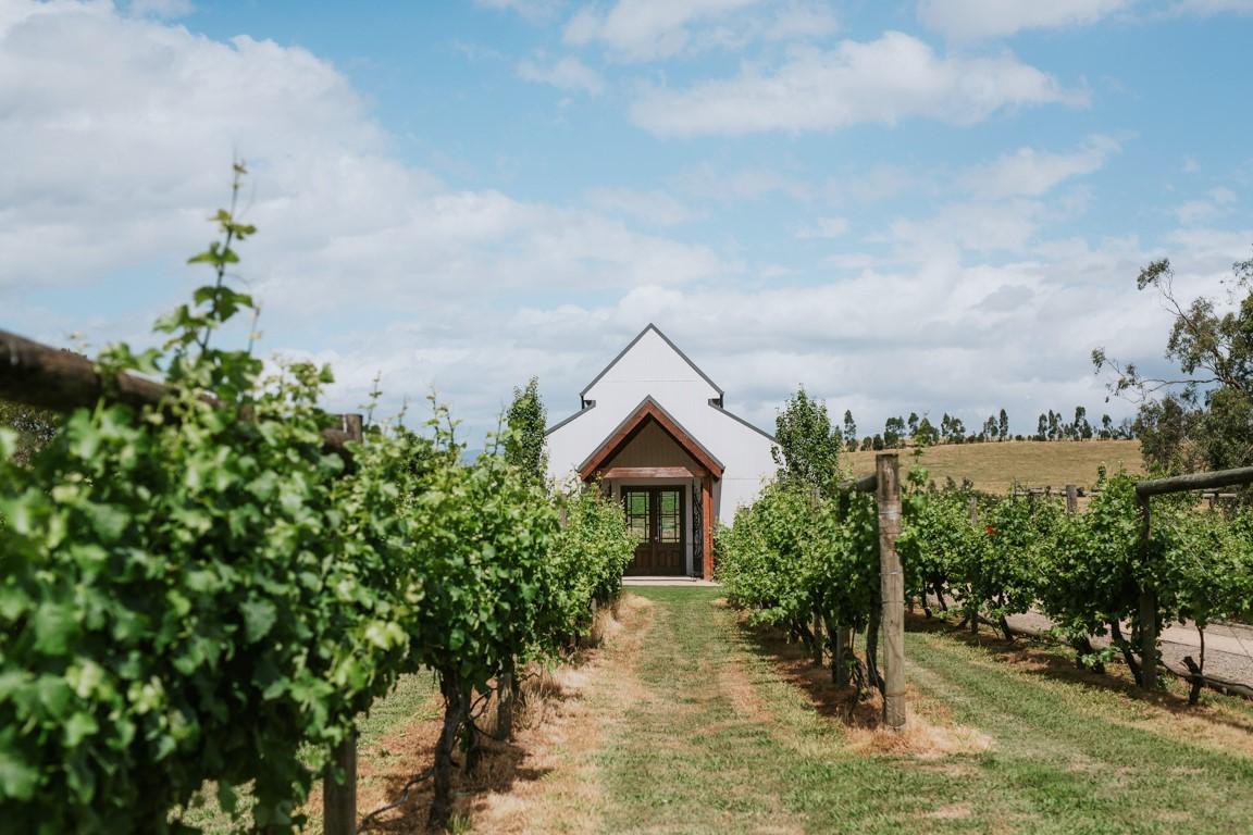 The Wedding Website of Jill Montplaisir and Daniel Peeters