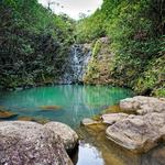 North Shore Waterfall Hike Excursion