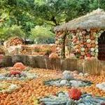 The Dallas Arboretum and Botanical Garden