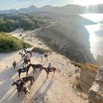 Horseback Riding