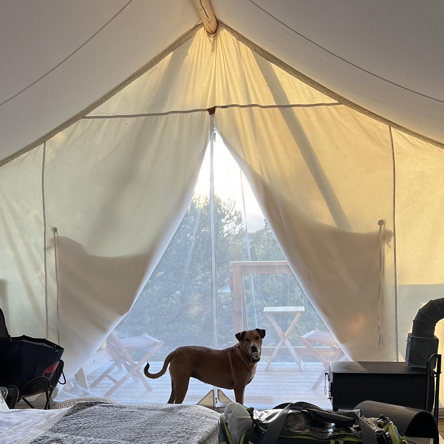 Glamping @ Under Canvas in Bryce Canyon