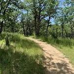 Britt Woods Trails - Parking