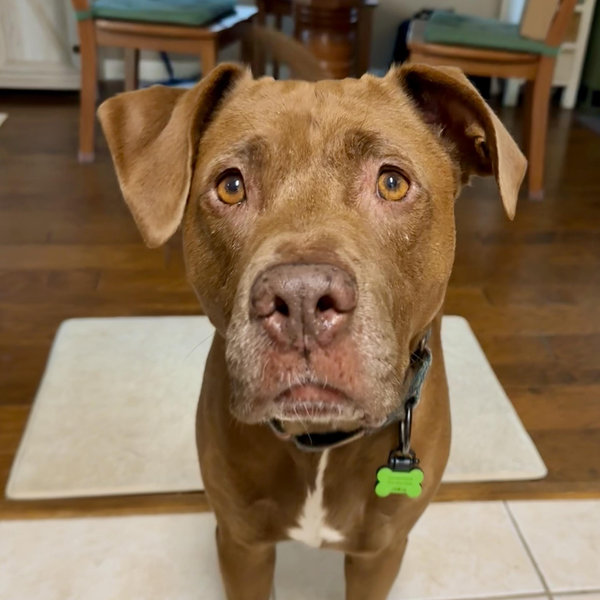 Donate - Final Frontier Rescue Project