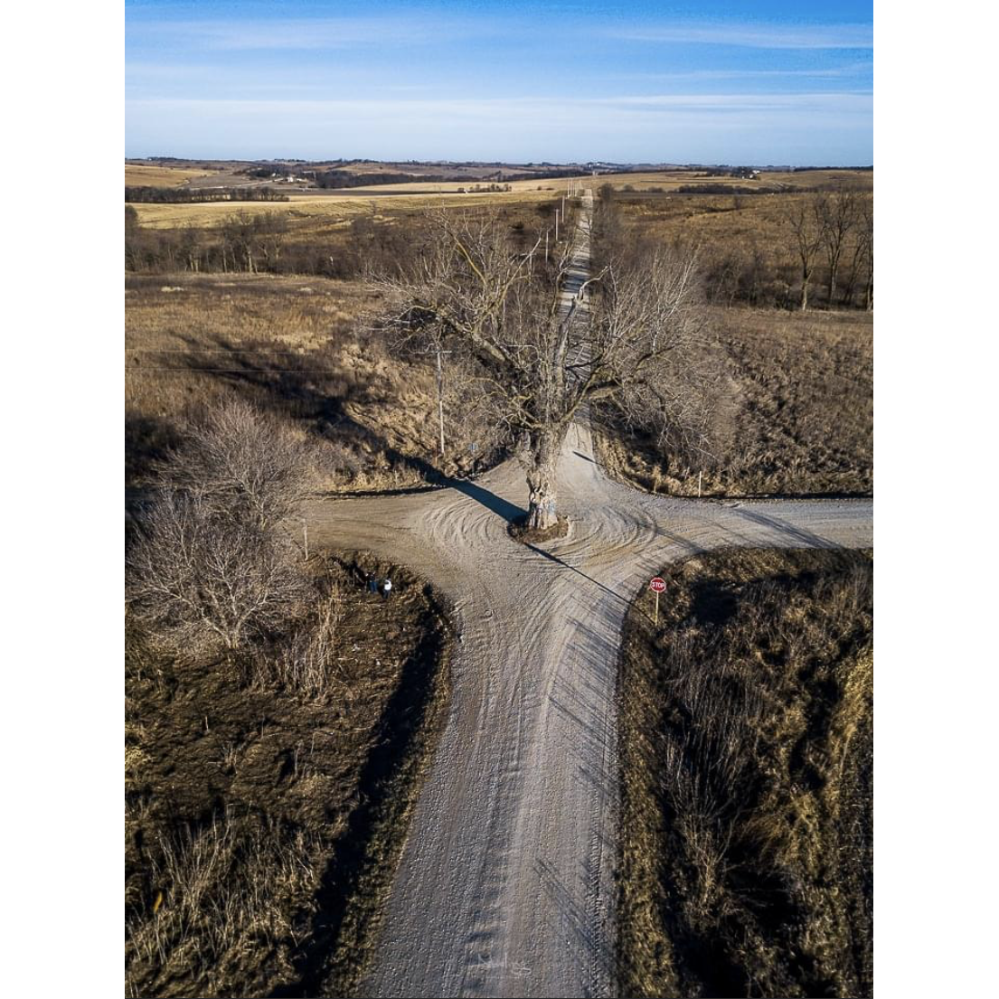 The "tree in the middle of the road" near Atlantic, Iowa. This is the spot Dalton popped the question.
"Like this tree is the center of the intersection, so are you the center of my world." -Dalton