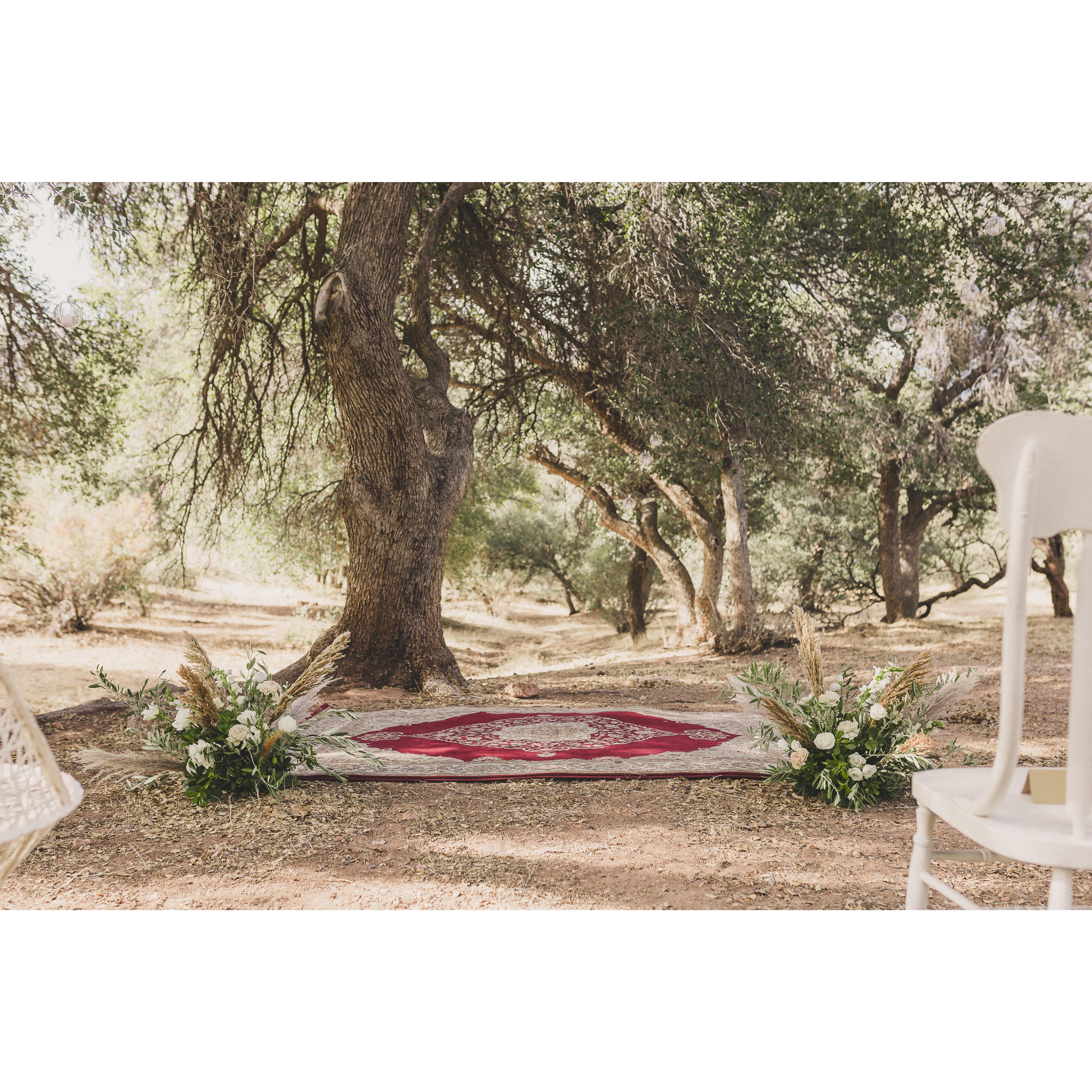 Our ceremony space at Spring Mountain Ranch