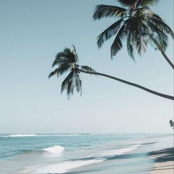 Honeymoon Fund