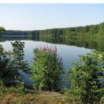 Gates Pond