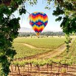 Hot Air Balloon Rides