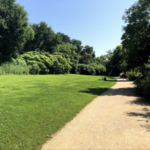 Picnic Point