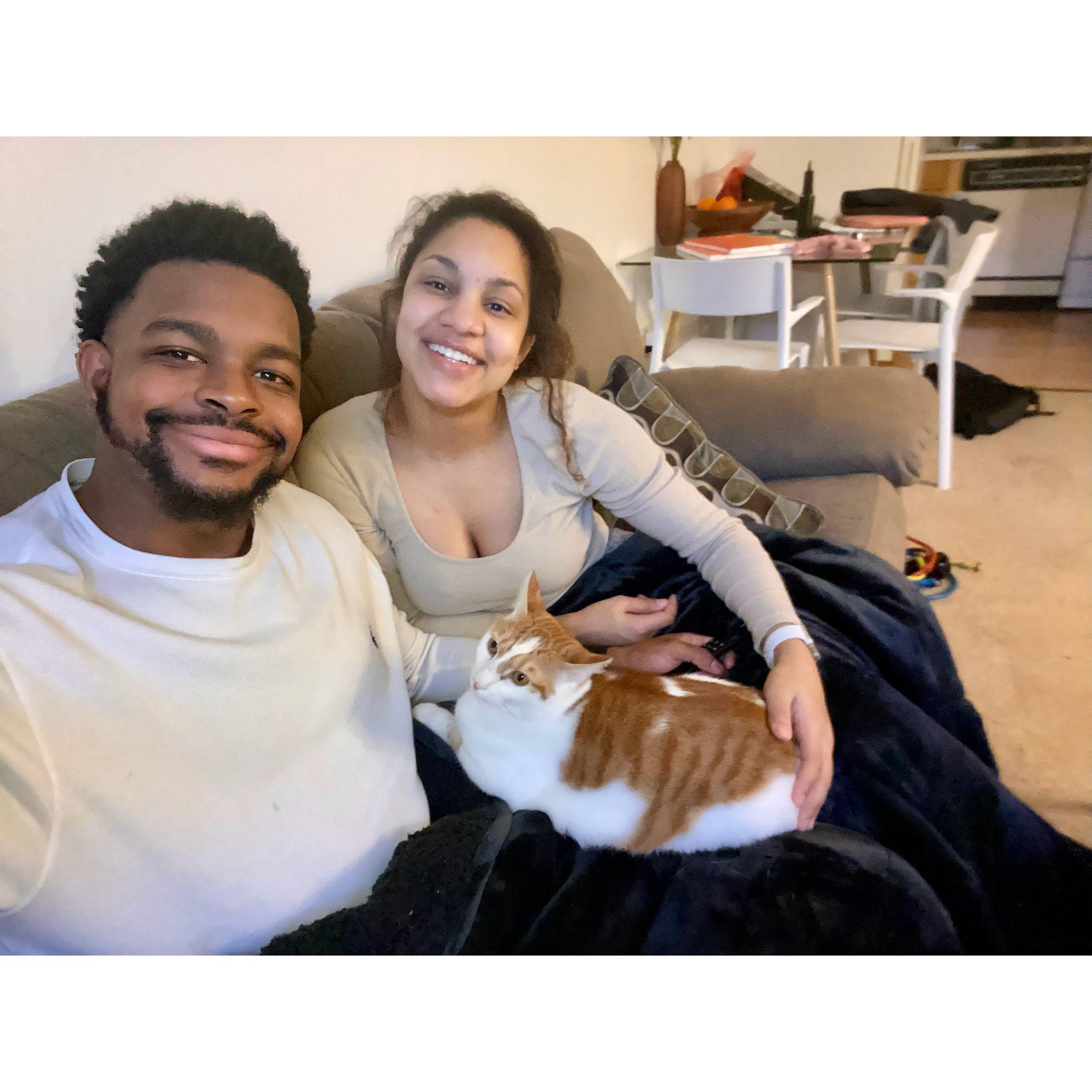 Relaxing at home with our kitty Cheddar.