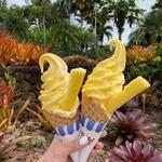 Dole Plantation