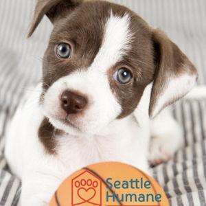 Seattle Humane Society