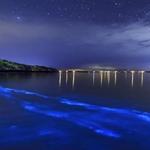 Bioluminescent Bays