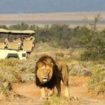 Inverdoorn Game Reserve Booking Centre