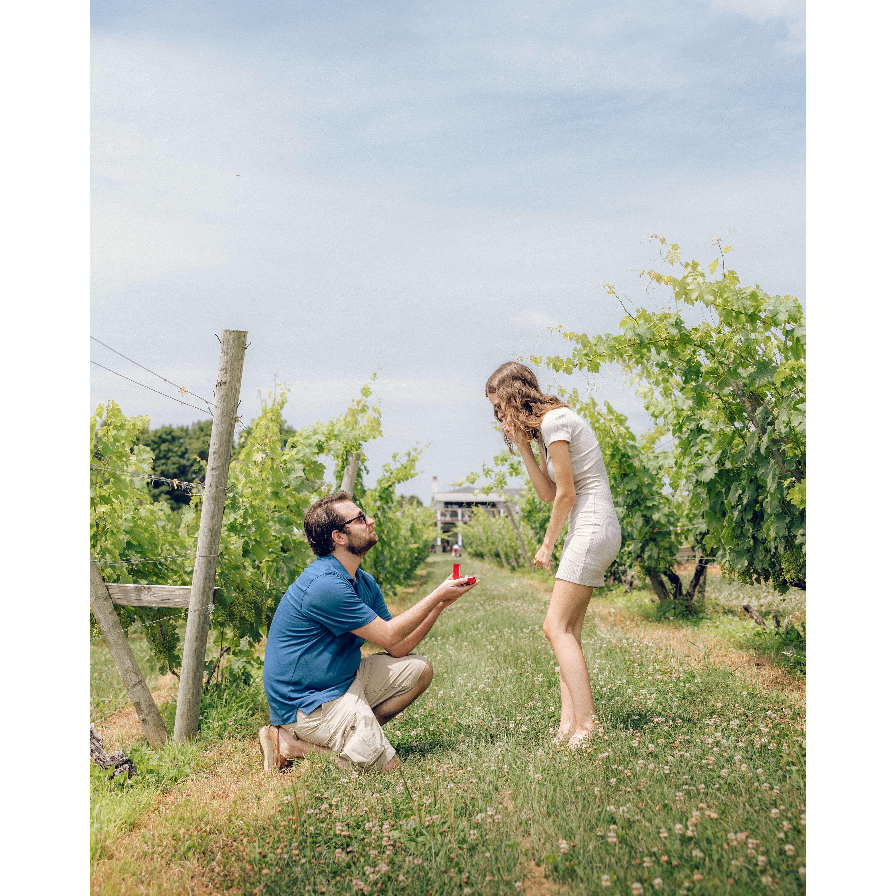 Our engagement, Millbrook Vineyards & Winery, 7/16/2022