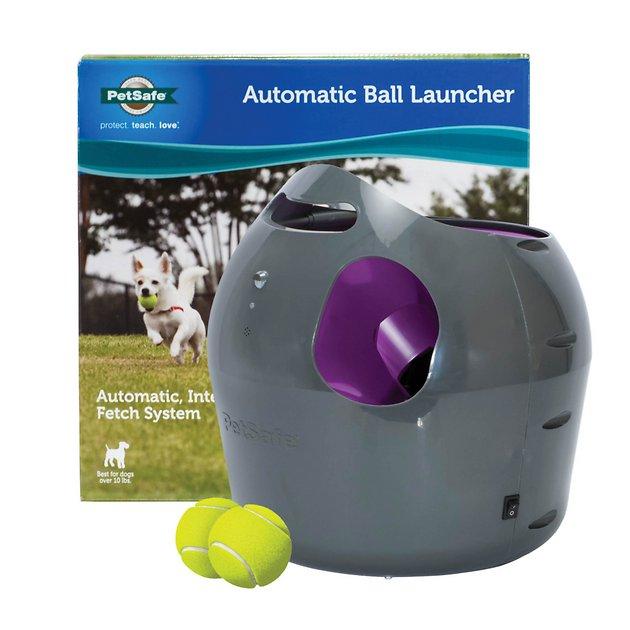 PETSAFE Automatic Ball Launcher Dog Toy - Chewy.com
