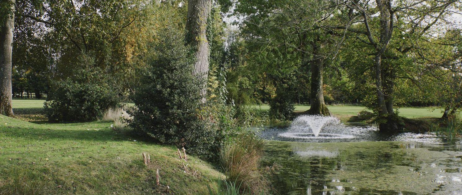 The Wedding Website of Olivia Crane and Dave Llewellyn