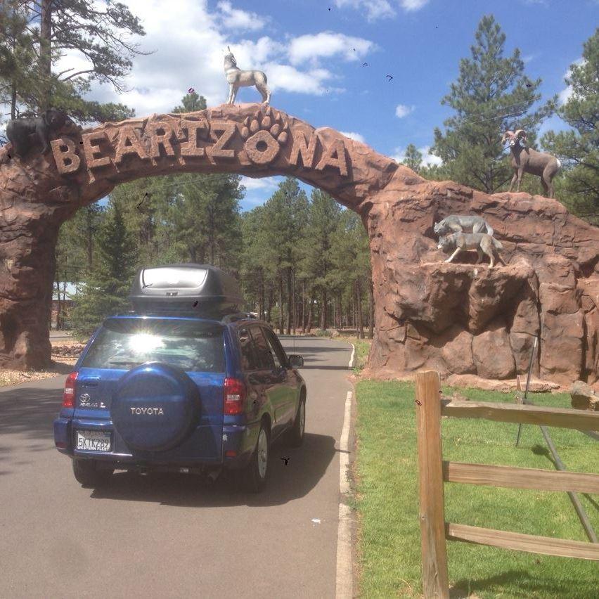 Our first roadtrip! Bearizona stop!