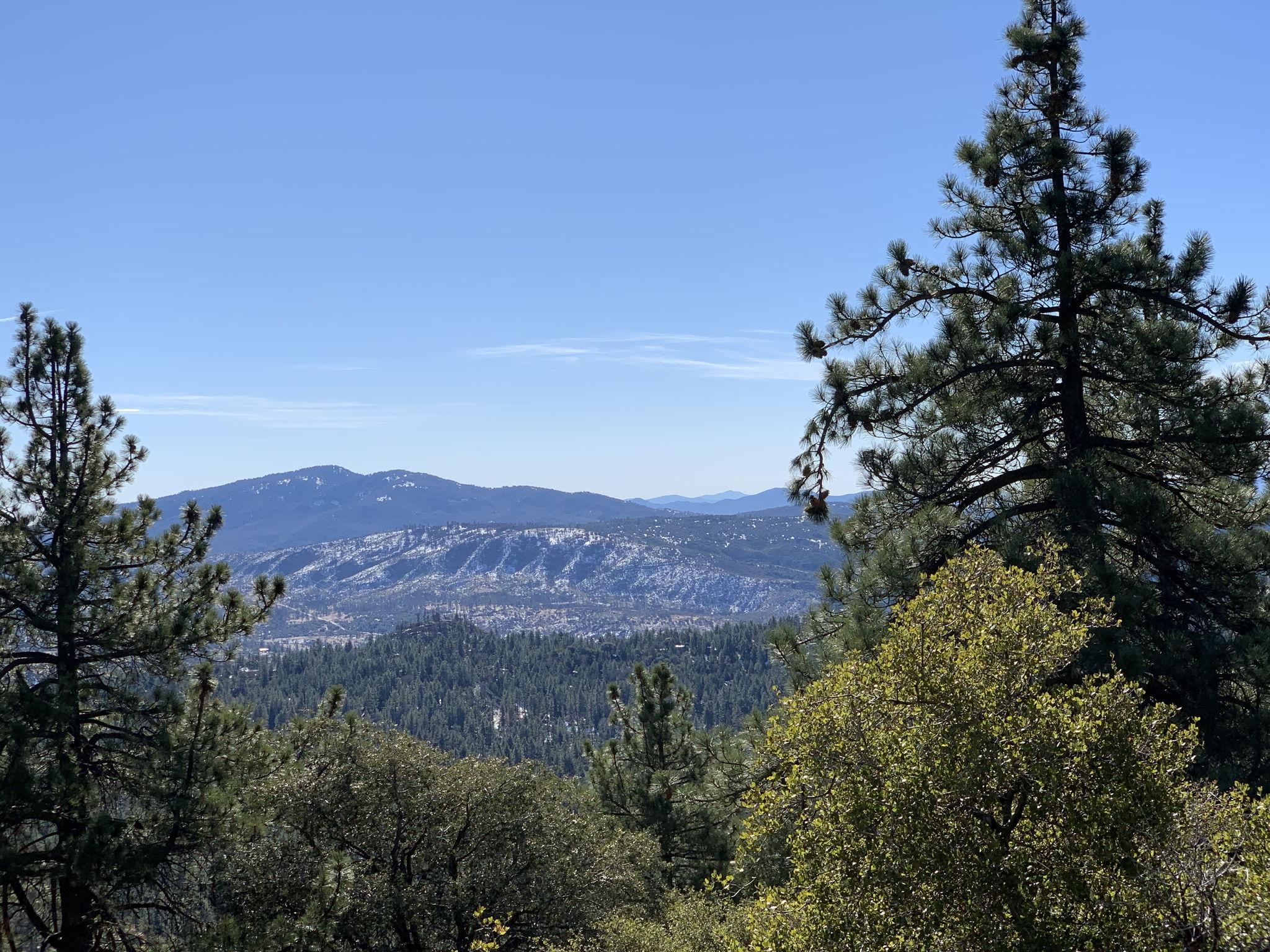 The Wedding Website of Diane Sack and Christopher Emery