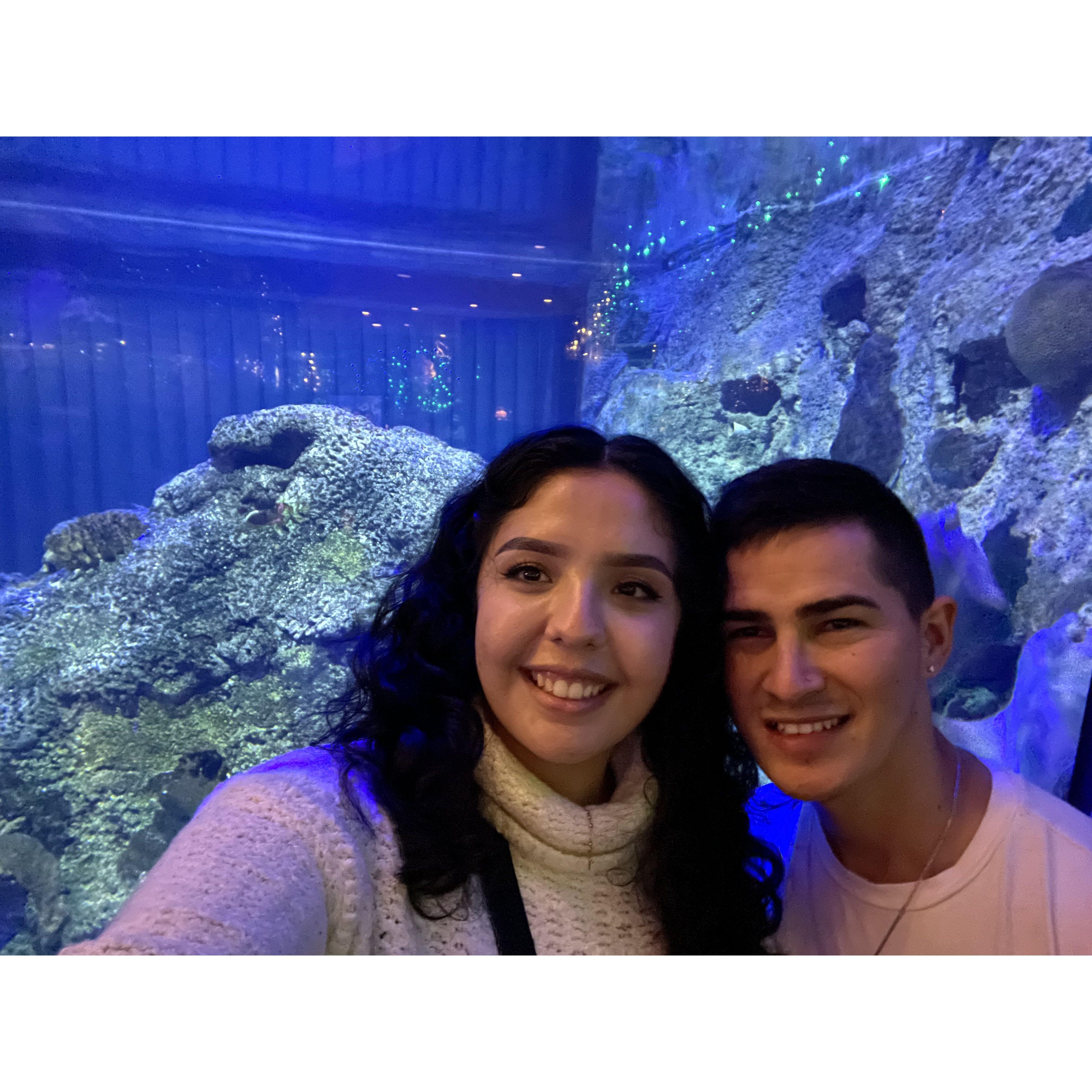 Our first aquarium visit! 
Nuestra primera vez en un acuario!