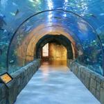 The Dallas World Aquarium