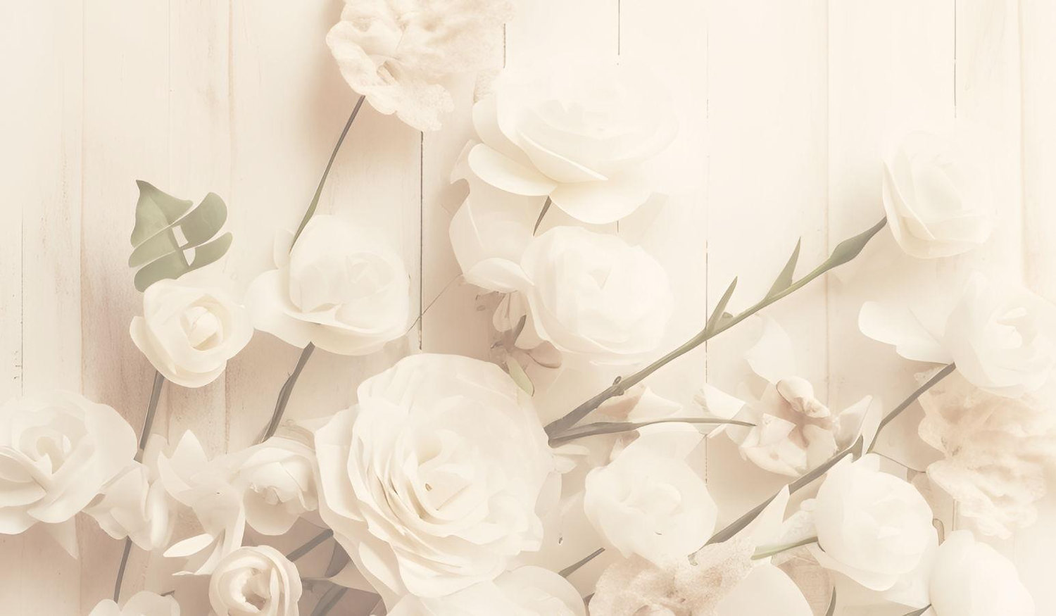 Footer image
