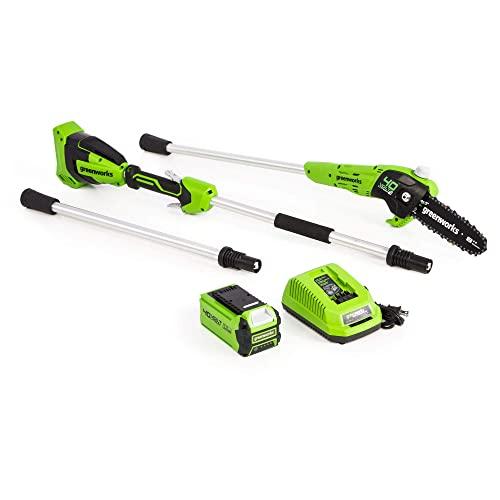 Greenworks 40V 8-Inch Cordless Polesaw, 2.0Ah Battery and Charger Included, PS40B210