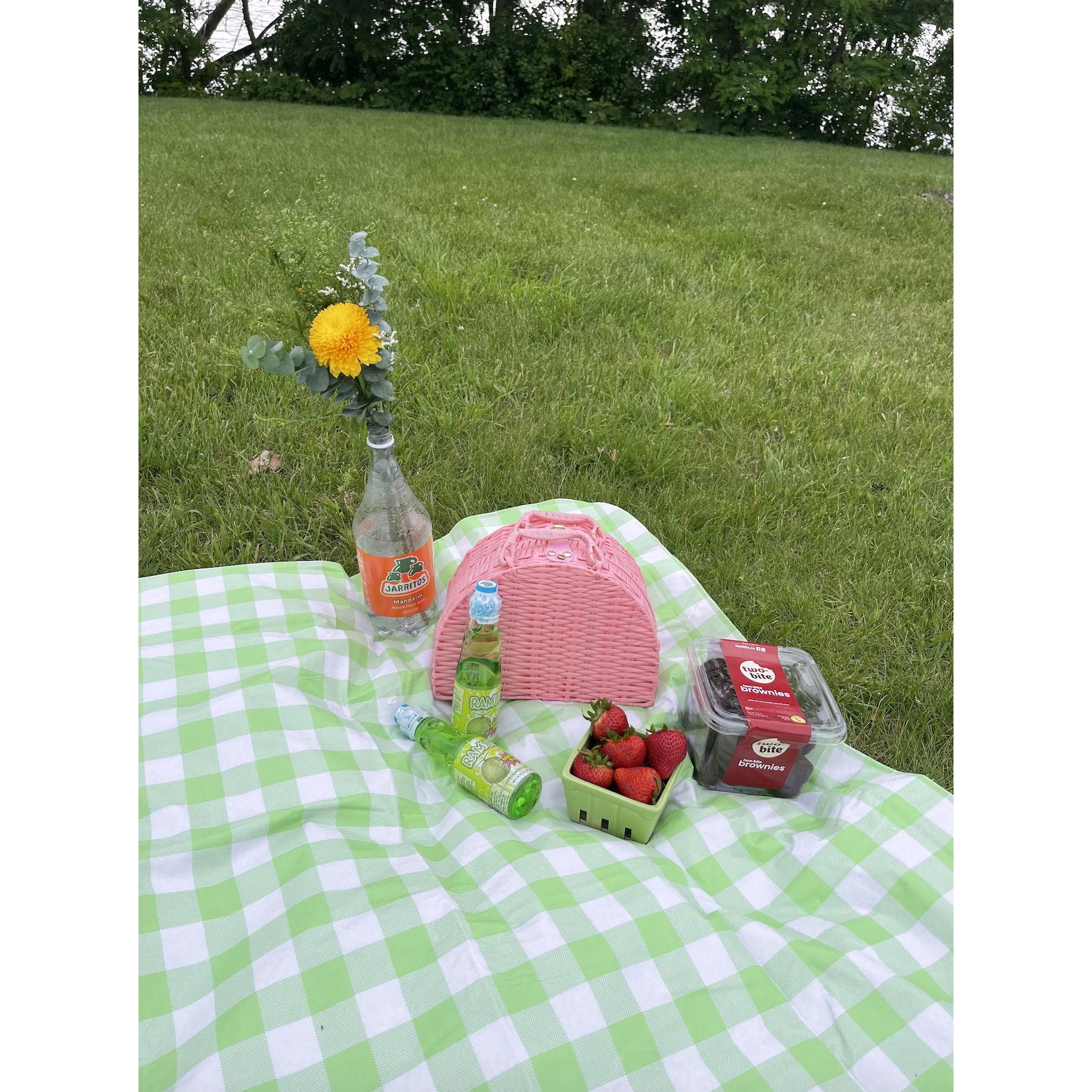 Anna's proposal: the set up