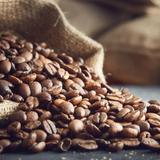 Press Coffee - The Roastery
