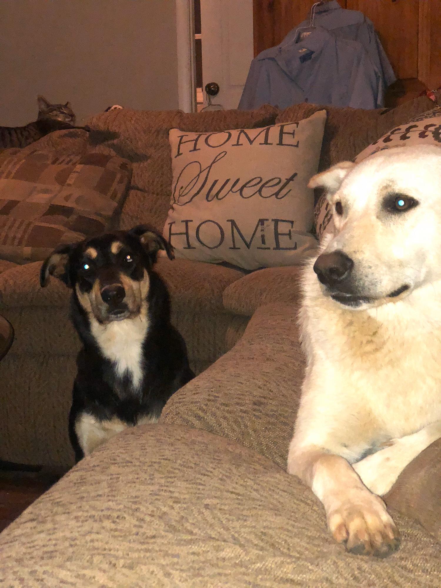 love my babies!