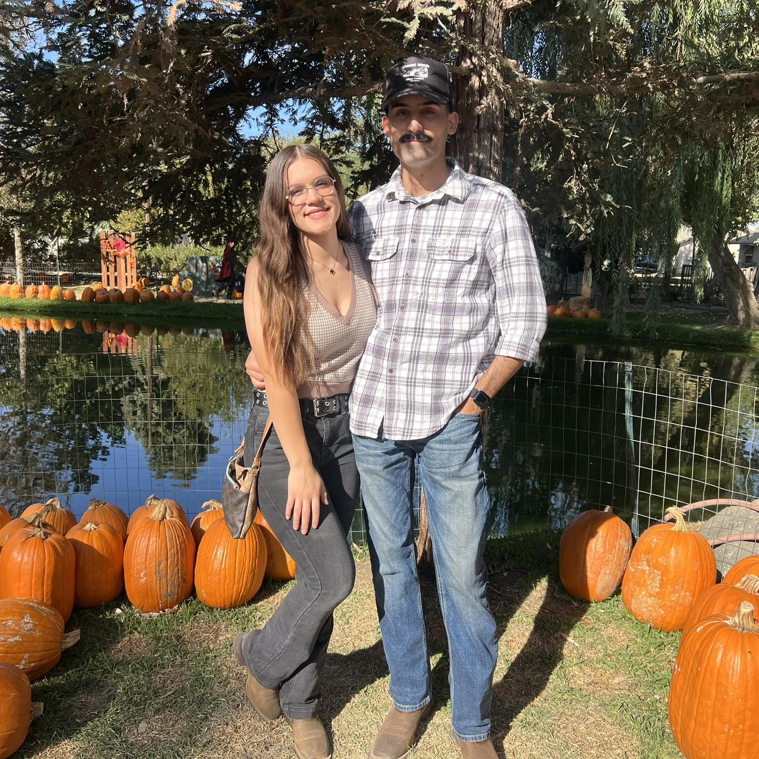Pumpkin patch 2024